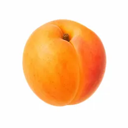 Abricot