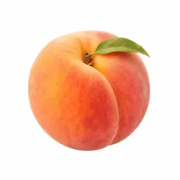 Abricot 2