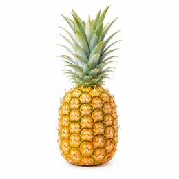 Ananas