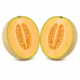 Melon